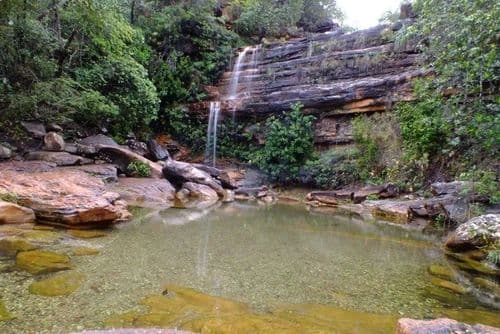 Parque Municipal da Muritiba