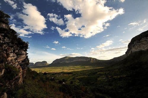 Campos de São João