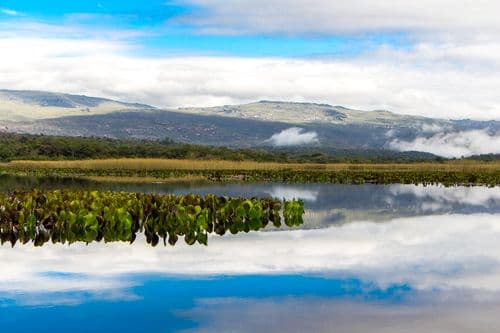 Pantanal Marimbus (via Andaraí)