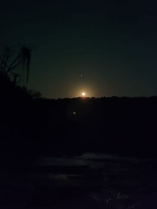 carousel image 472