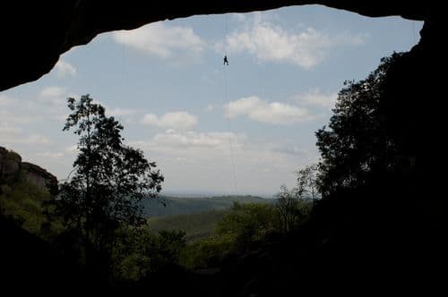 thumbnail image 394