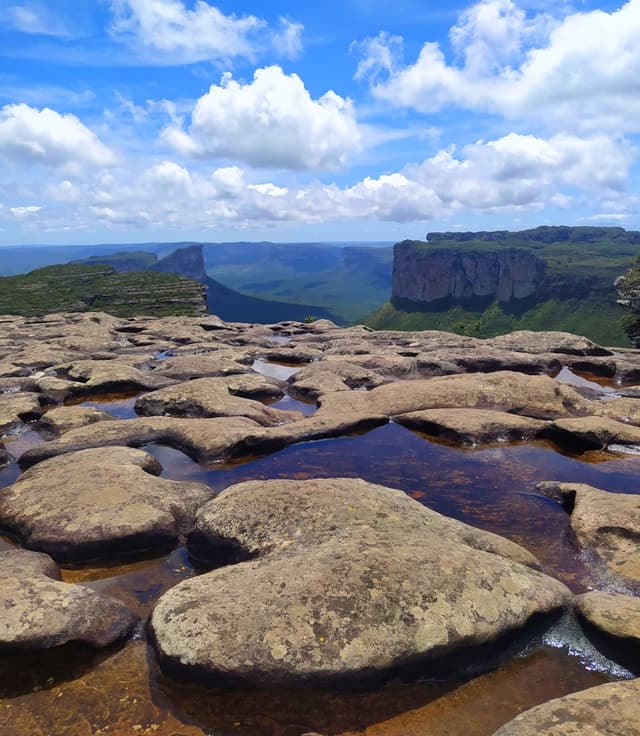 thumbnail image 181