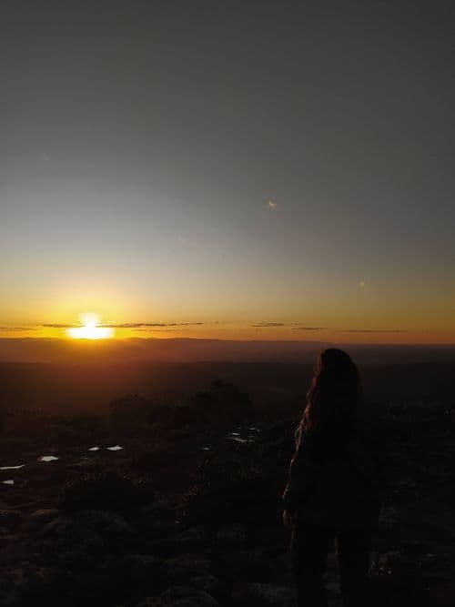 thumbnail image 567