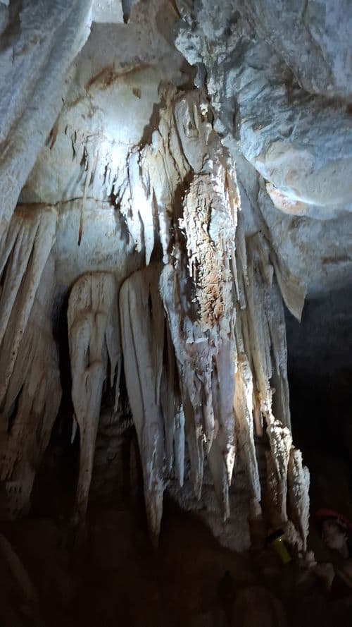thumbnail image 794