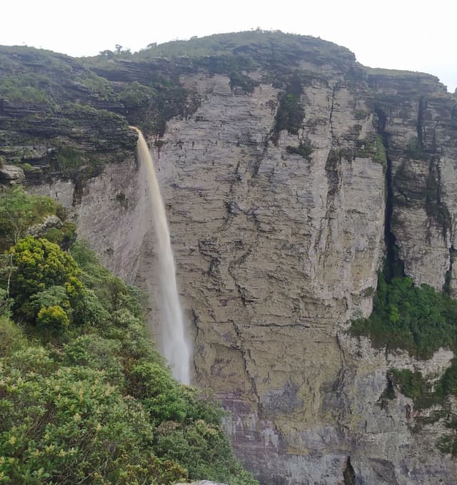 thumbnail image 168