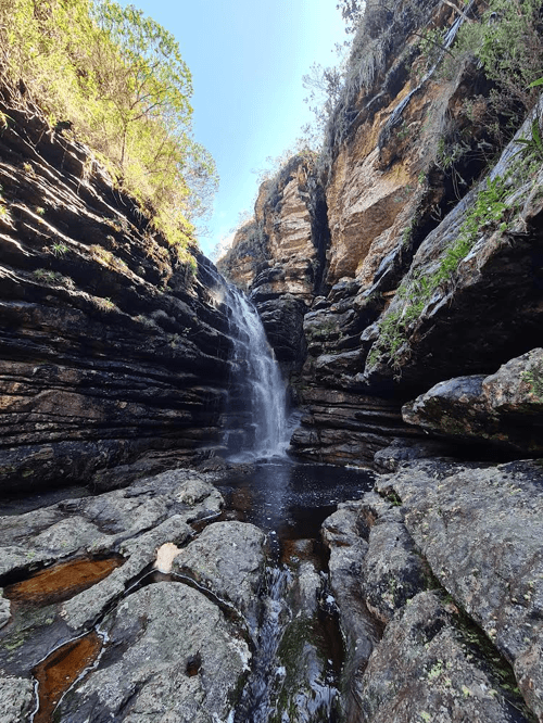 thumbnail image 81