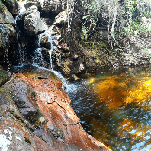 thumbnail image 119