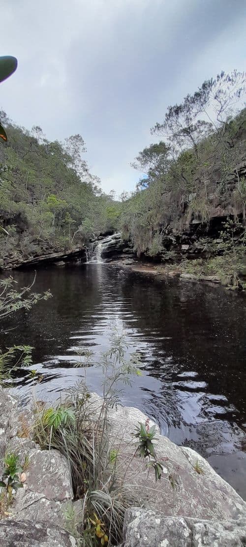 thumbnail image 604
